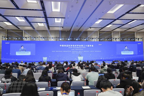 以科技之力擎起食品产业未来 中国食品科学技术学会第二十届年会在长沙召开