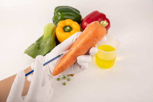 胡萝卜食品安全农业科技食品培育摄影图 插画 下载至来源处