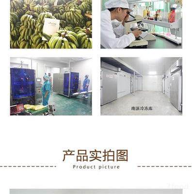 速冻香蕉原浆冷冻果浆20公斤箱水果茶冷热饮
