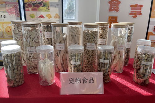 长子冻干食品产业园 打造一二三产融合发展新平台