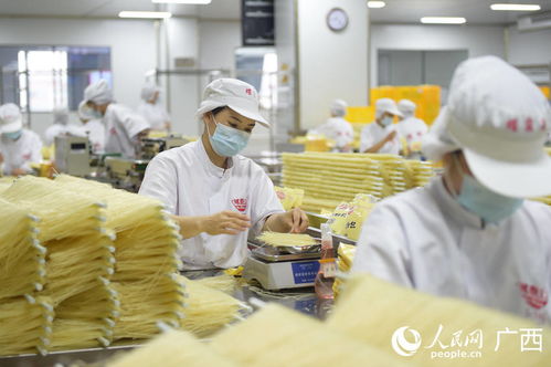 奋进新征程中的广西新作为 起步争先 开局提速