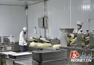 张家界米粉 湿面安全吗 红网记者目睹米粉 出生 过程