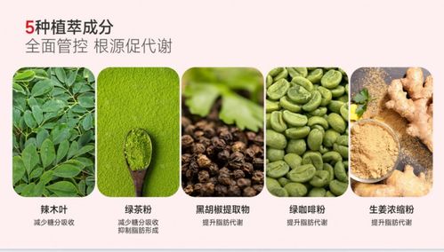 多燕瘦荣登食品科技创新奖,科技助力健康瘦身,开启瘦身新纪元