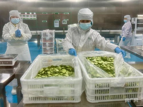 高质量发展中国行丨一份蔬菜沙拉如何联通湾区 民生厨房