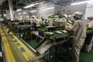 依靠发展食品机械科技 食品企业在大进步