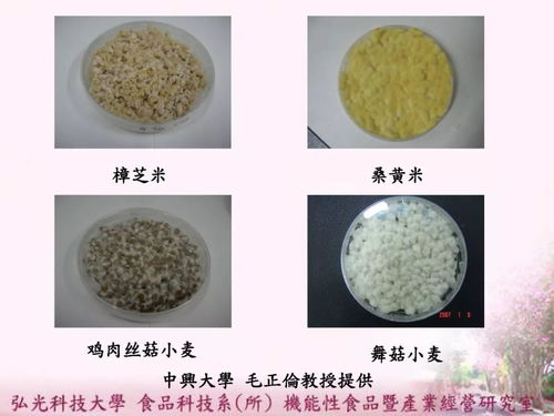台湾弘光科技大学食品科技系 林圣敦 教授在第一届中国 古田 食用菌大会的主题演讲 菇类的应用产品开发